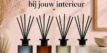 Geurstokjes kleuren Geur studio